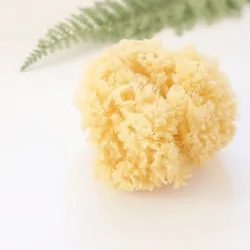 Esponja natural para bebé Saro
