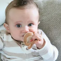 Bo Jungle Alimentador de frutas 4 en 1 Conejito