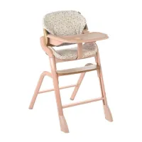 Jané Noah Trona evolutiva