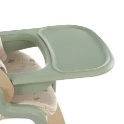 Jané Noah Trona evolutiva