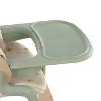 Jané Noah Trona evolutiva