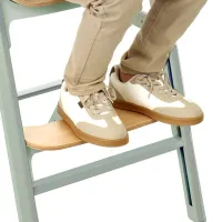 Jané Noah Trona evolutiva