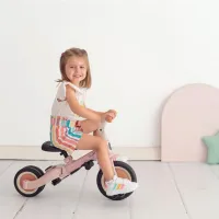 Olmitos Triciclo multifunción GYRO+