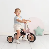 Olmitos Triciclo multifunción GYRO+