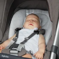 Inglesina Baby Snug Pad Reductor para la Silla de paseo