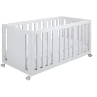 Ikid Cuna Evolutiva Palermo