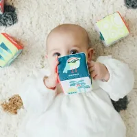 Set cubos sonajero Blandit Miniland – Juguete sensorial bebé