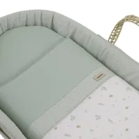 Moisés de palma Cambrass acolchado