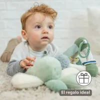 Nattou Pirámide de actividades suave Lapidou - 20 cm Verde