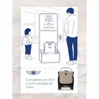 Nuna VIAA Cabn Silla de paseo