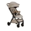 Silla de paseo Nuna Trlv con accesorios