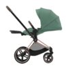 Pack Asiento Cybex Priam Leaf Green