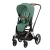 Pack Asiento Cybex Priam Leaf Green