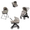 Trio Inglesina Electa Darwin Infant Battery Beige