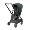 Peg Perego Cochecito Dúo City Loop Metal